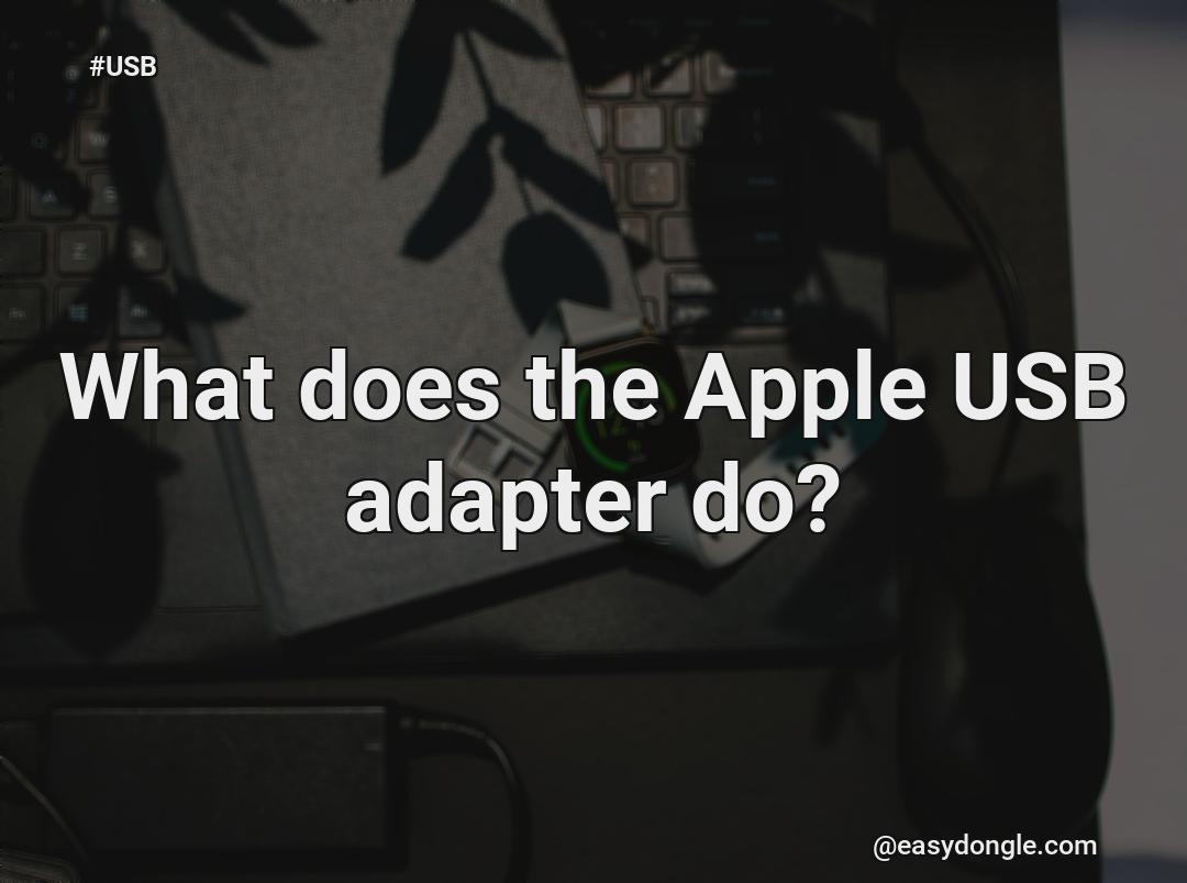 what-does-apple-usb-adapter-have