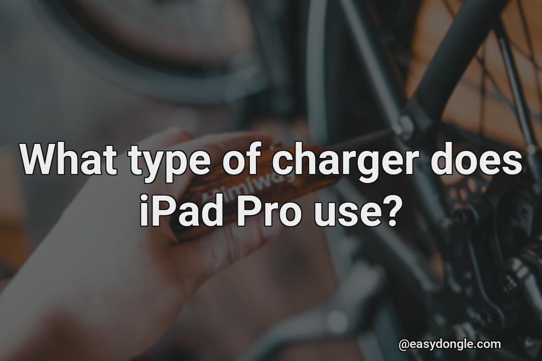 what-kind-of-charger-is-my-ipad-pro-using