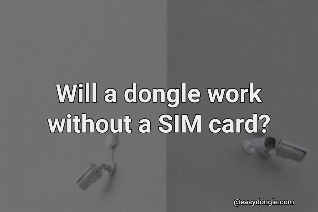 will-the-dongle-work-without-a-sim-card